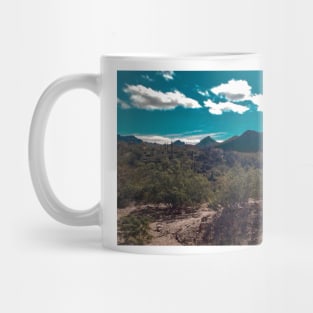 Arizona-Sonora Desert Mug